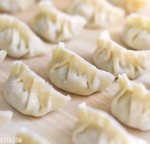 Pork-Gyoza-Lineup-side-1-500x480