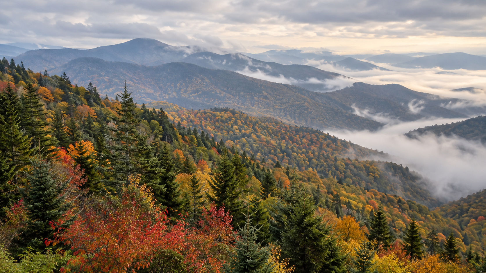 Fall color changing by elevation across misty Great Smoky Mountains ridges